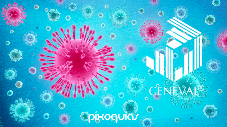 pixoguias-coronavirus-egel-ceneval